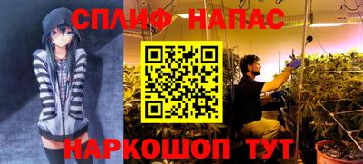 метадон Моздок